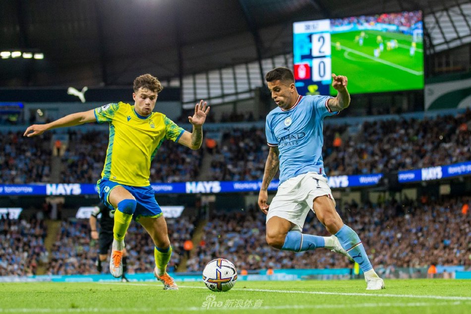 了篮球的全 了篮球的全